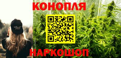 PSILOCYBIN Гагарин