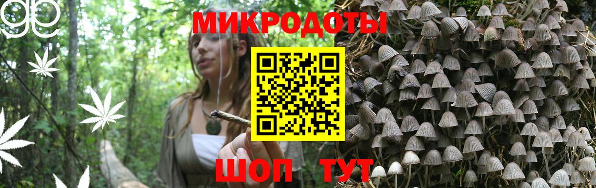 Наро-Фоминск  Псилоцибиновые грибы Psilocybine cubensis  Галлюциногенные грибы Cubensis  Вход с VPN 