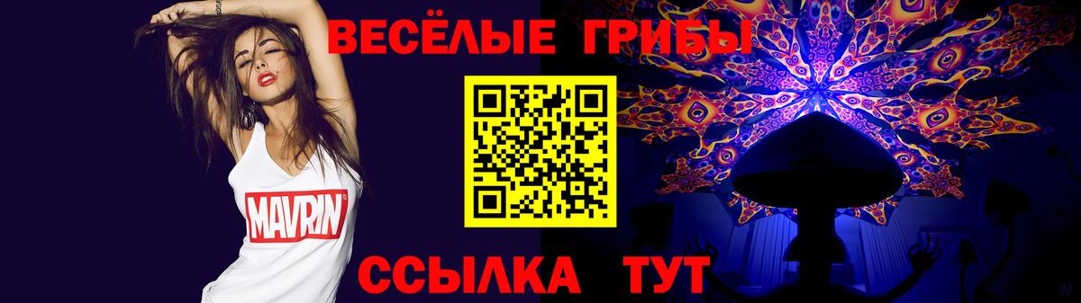 Псилоцибиновые грибы Psilocybine cubensis Наро-Фоминск